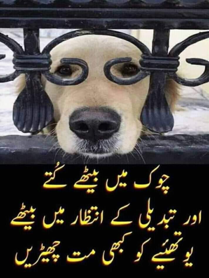 khalida Rehmani tweet media
