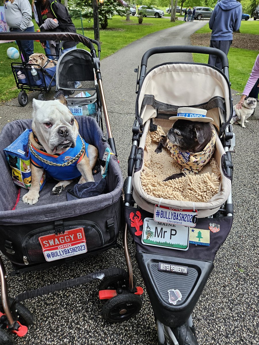 MisterPemberto1's tweet photo. A true OG! and one of my very first Twitter friends, Baker๐๐๐ @Lil_Fen @BullyBashCLE #Bullybash https://t.co/oxPO69A0m6