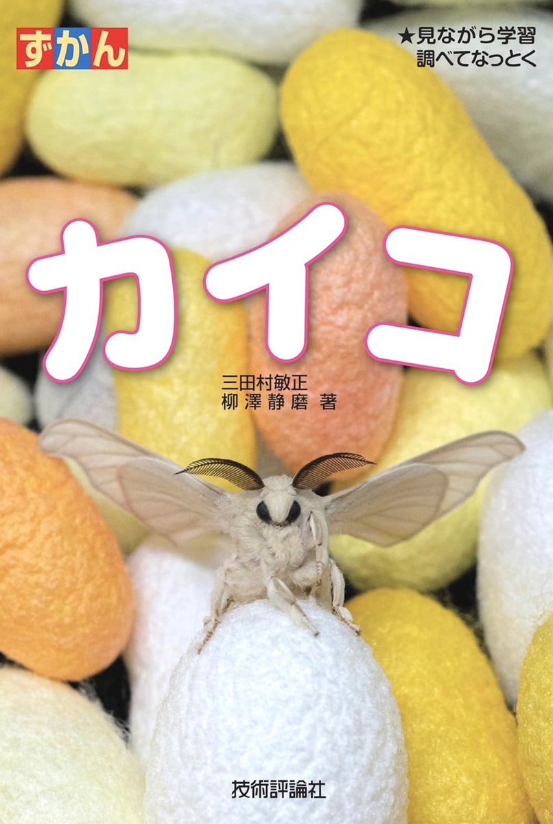 三田村敏正@タガメ ハンドブック重版! tweet media