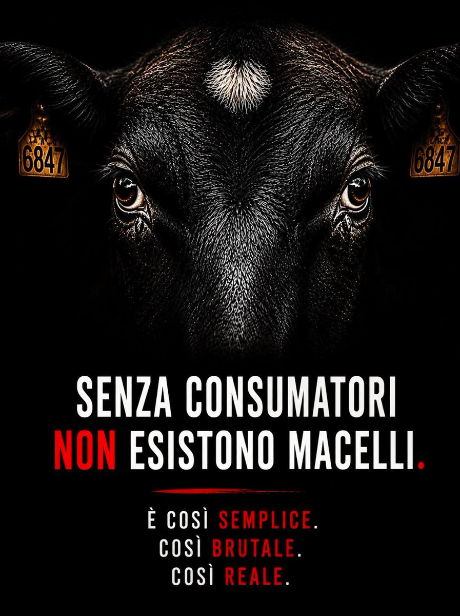 Gianni Runco tweet media