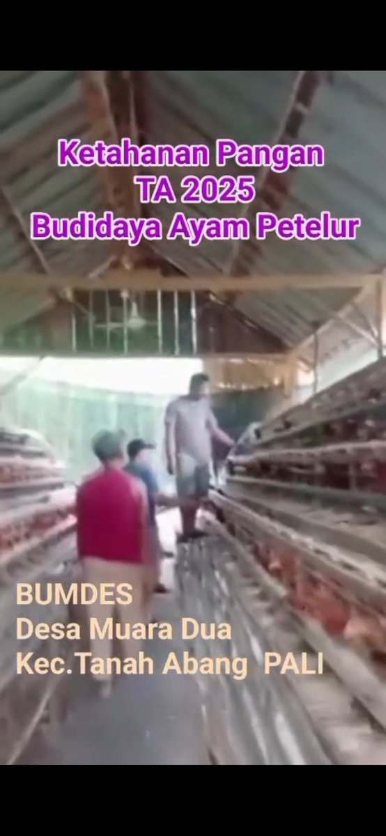 Jamal23398793's tweet photo. BUMDesa Desa Muara Dua, Tanah Abang, Paling Sumatera Selatan mengelola Ketahanan Pangan untuk meningkatkan ekonomi rakyat. 

@YandriSusanto
@ARizaPatria
@KemensetnegRI

#KementerianDesaPDT
#BPSDMKementerianDesaPDT
#BUMDesaKelolaKetahananPangan
#BUMDesaKerjasamaKDMP https://t.co/1GSW0p0QFC