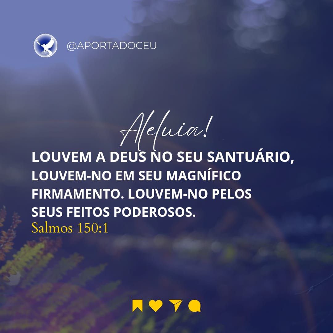 Pra Conceição Melo tweet media