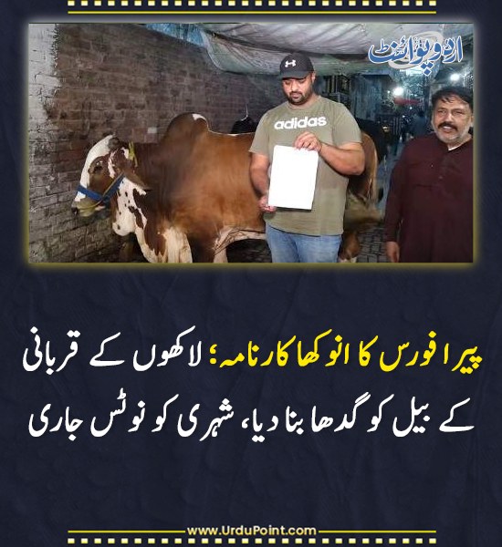DailyUrduPoint's tweet photo. خبر کی مزید تفصیل جانئیے
https://t.co/hPBstHeoRo
#PakistanNews #ParaForce #AnimalCase #Punjab https://t.co/wqvLpBGLRj