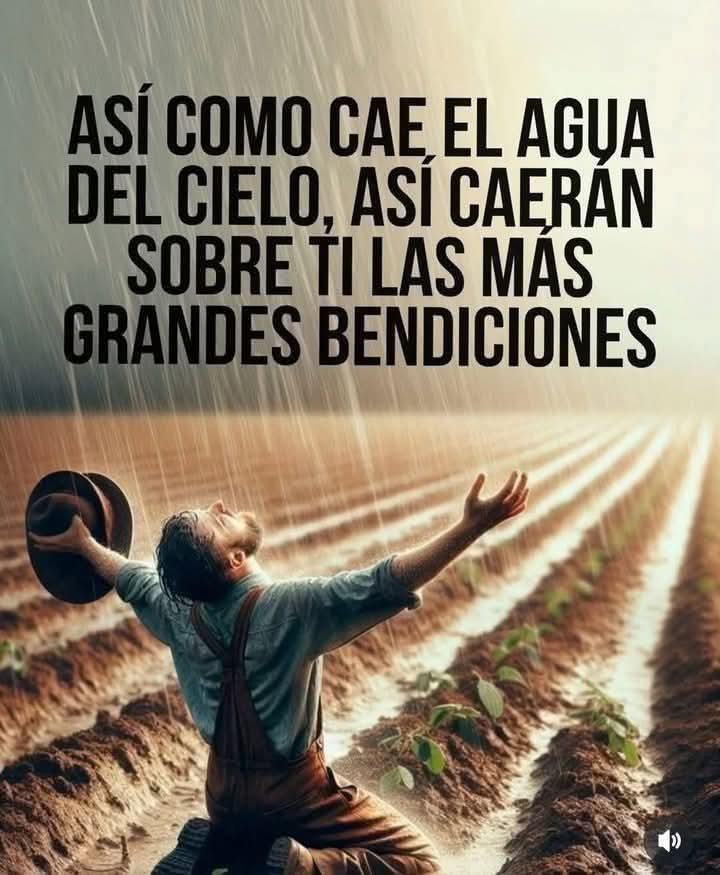 SALUD A LA CARTA tweet media