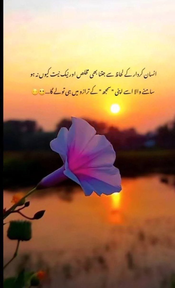 Zahid Naeem tweet media