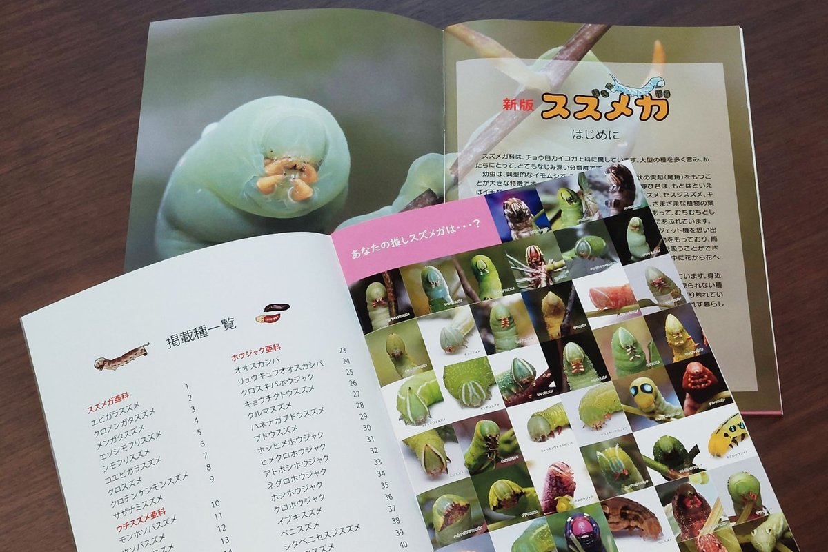 芋活.com【公式】 tweet media