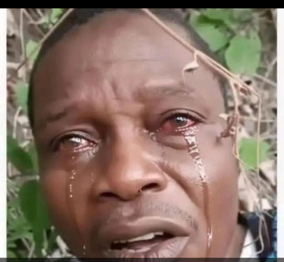Gboko Benjamin tweet media