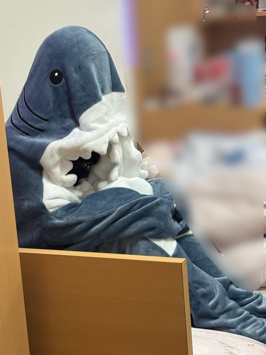 るる tweet media