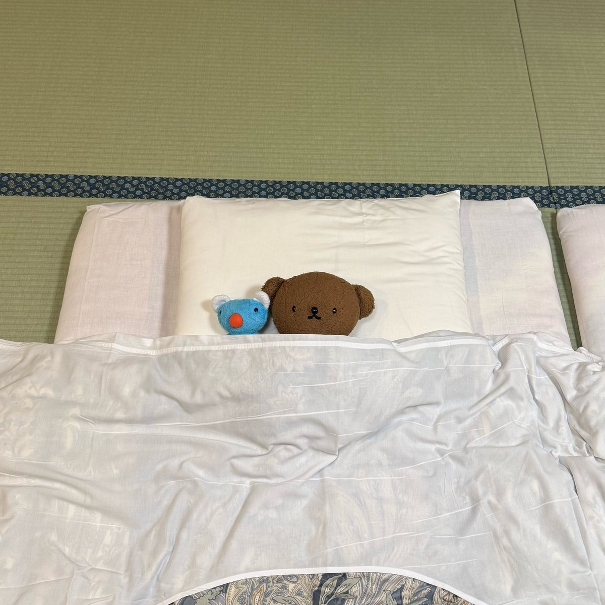 PeneBoris's tweet photo. ちょん。 https://t.co/tPpEdEx8kl