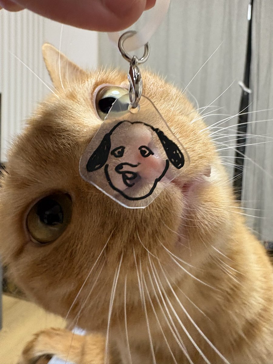 MIYA tweet media