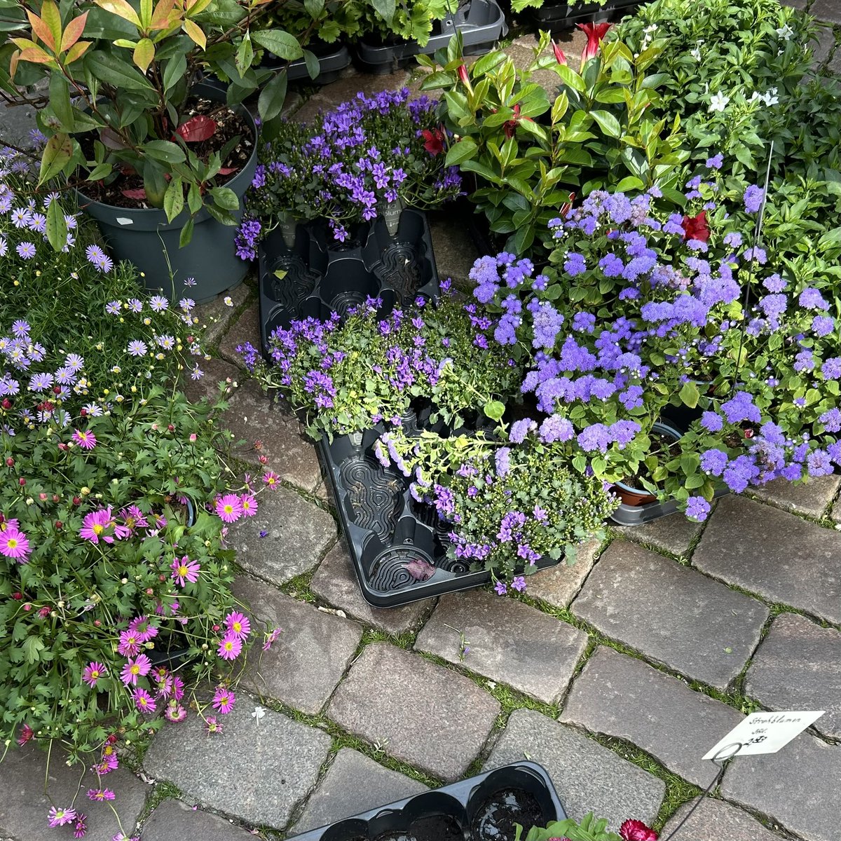 marssblast's tweet photo. spent my saturday morning going to the market in town, getting an overpriced drink, and walking back along the river and now i'm going to read a book i'm living the #offlinelife https://t.co/iVf45iIYQg