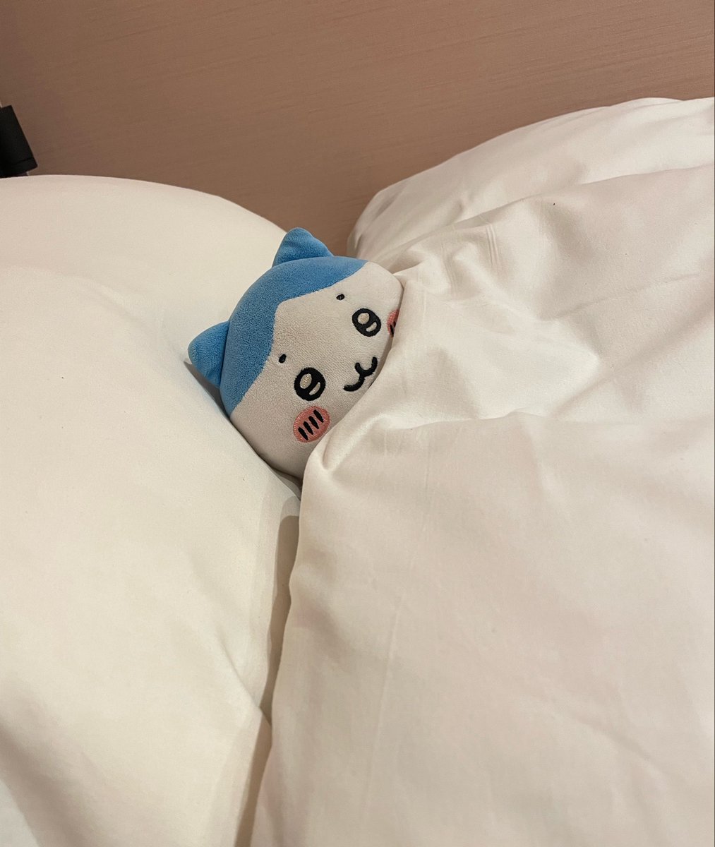 hitomi tweet media