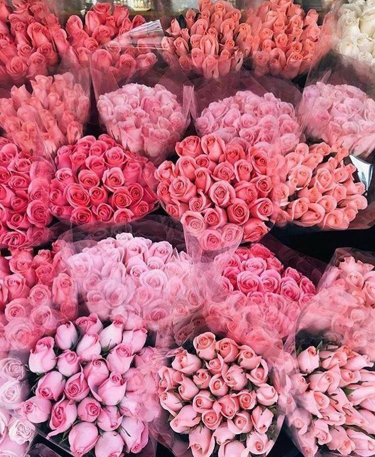 mohaab211's tweet photo. وقد
يكون الفرح أمامك

ولكنك
مغمض . . . عينيك💕

#مهاب https://t.co/sOG8iugi3W
