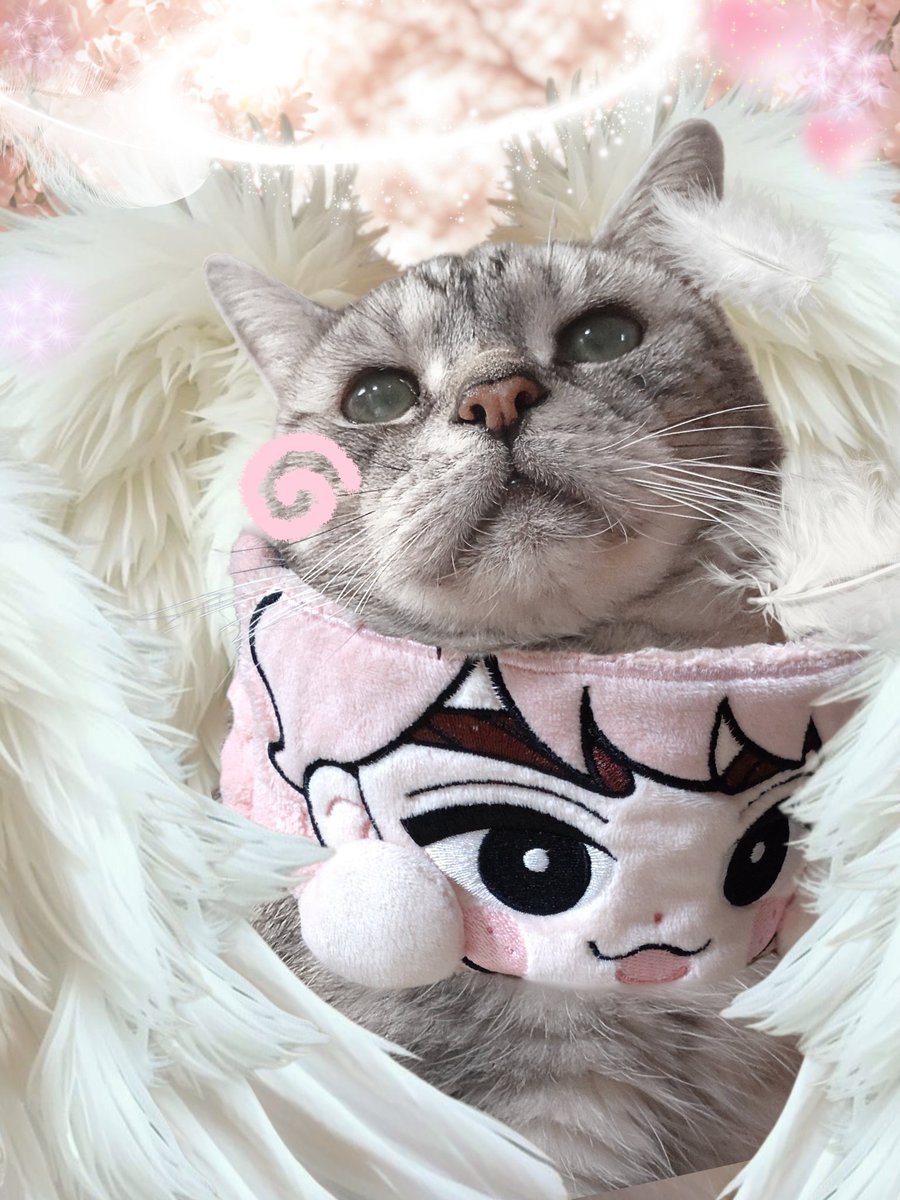 宇宙-sora-そぅちゃん (@soranosuke29) / Posts / X