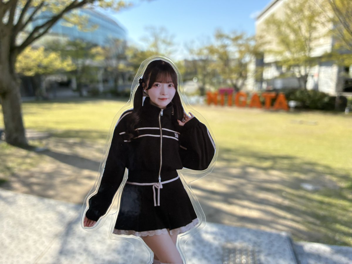 のぶたん（撮影会専用） (@nobutan0415) / Posts / X