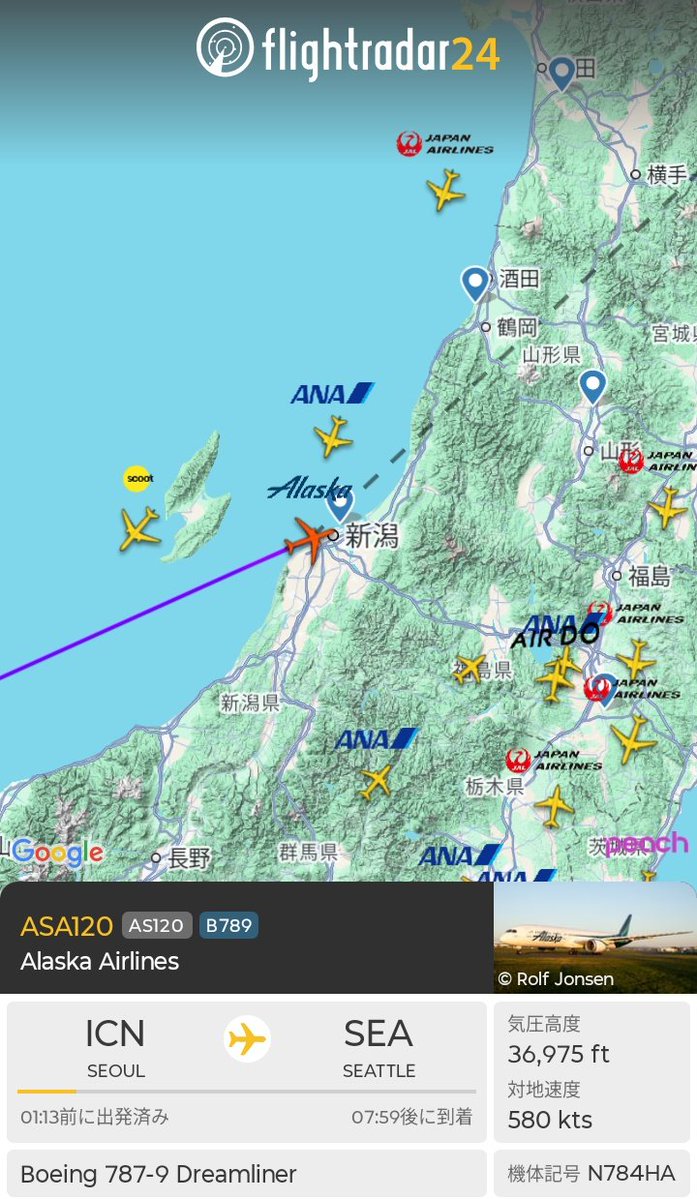 上空になんかいる✈