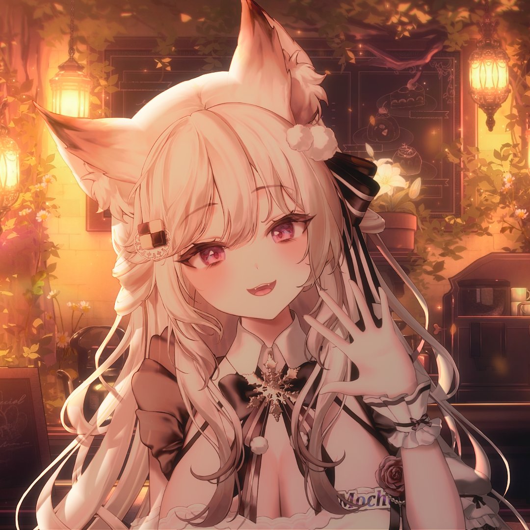 Mocha ☕️🦊 tweet media