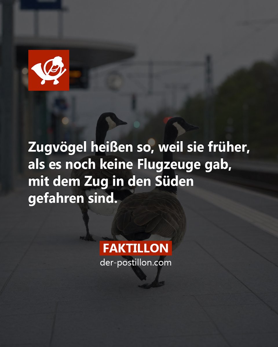 Faktillon's tweet photo. Die besten Fakten als Buch 👉 https://t.co/kfNylU66F6
Ehrliche Nachrichten auf 👉 https://t.co/uR45PLbzhp https://t.co/WZpaHxc3aQ