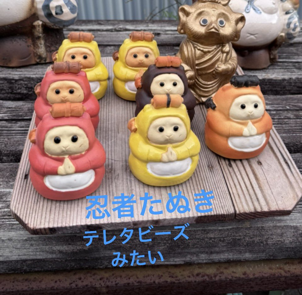 SmileParakeet's tweet photo. https://t.co/gLBcCN4sdW