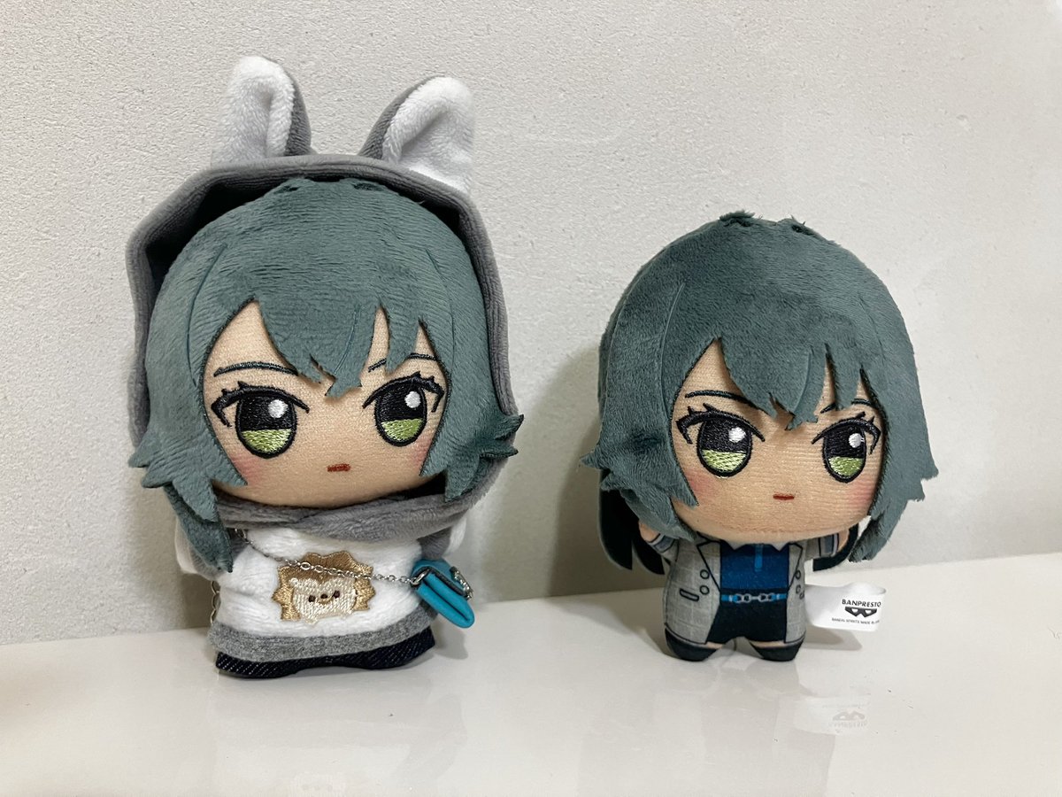 zaimesuta's tweet photo. オンクレ4000円で半年以上待ってようやくお迎えしたてまぬいと、たまたま寄ったゲーセンで見かけて暇つぶしにやった1PLAYで取れちゃったてまぬい https://t.co/KkMAQF2mR0