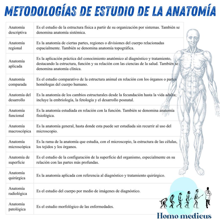 ENARM_intensivo's tweet photo. 📌METODOLOGÍAS  DE  ESTUDIO  DE  LA  ANATOMÍA 

#ENARM_INTENSIVO #ESTUDIA_MEDICINA https://t.co/LHnqUInE9M