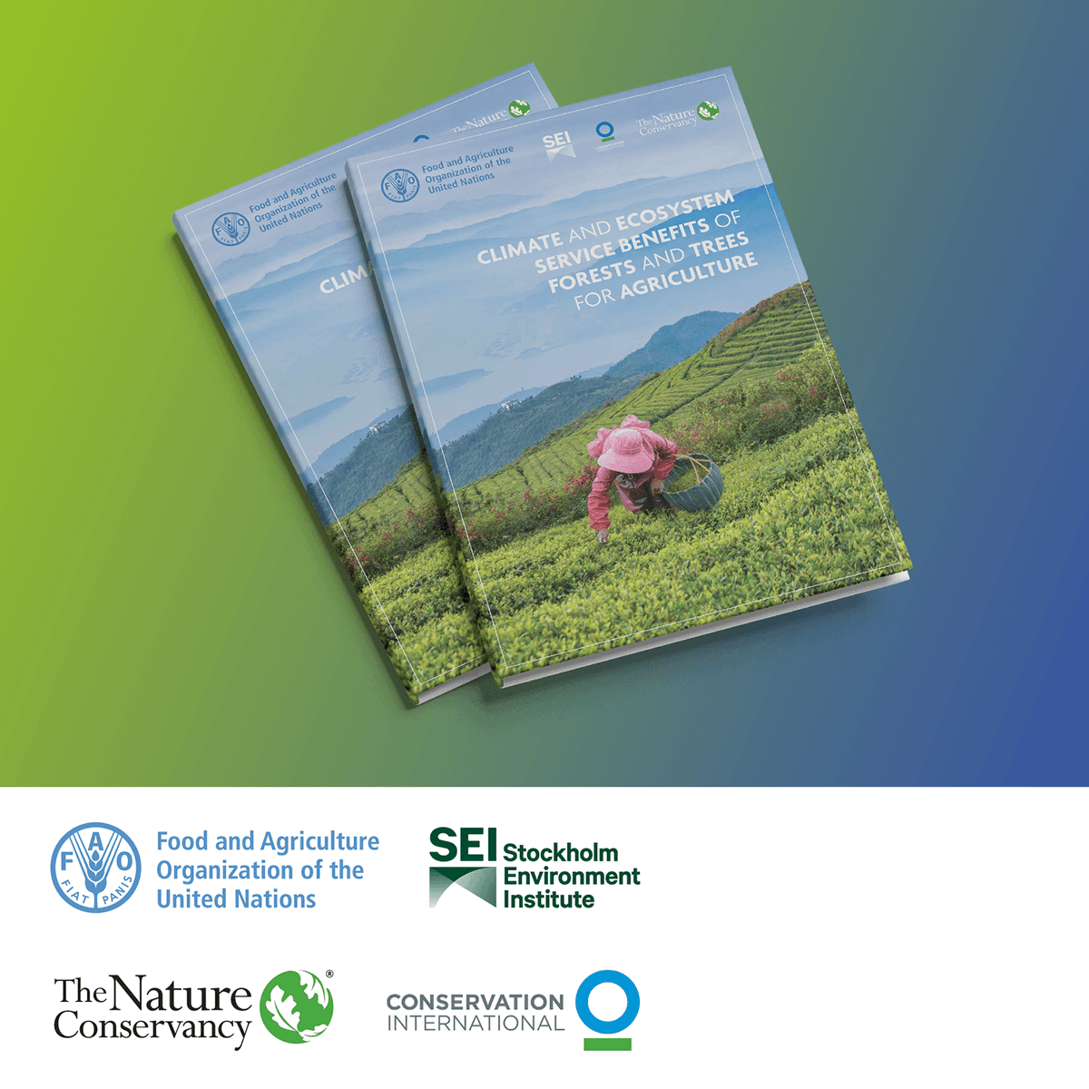 FAOForestry's tweet photo. Read a report from @FAO @nature_org @SEIresearch &amp; @ConservationOrg on how services provided by forests and trees can strengthen #agrifood systems

  ➡️ Climate and ecosystem service benefits of forests and trees in agriculture

🔗https://t.co/8Uw3oQ6Yv8 https://t.co/kUB9fgbxRh