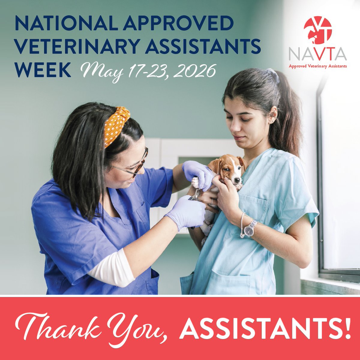 VetTechs's tweet photo. #AVAWeek2026 may be wrapping up, but NAVTA’s support for VAs continues!

NAVTA’s new AVA membership tier was created to support AVAs with professional development, CE opportunities, recognition, &amp; community.

AVAs are essential. Join today: https://t.co/tpRsGzHZ6K

#EssentialAVAs https://t.co/bH6WEGOuGR