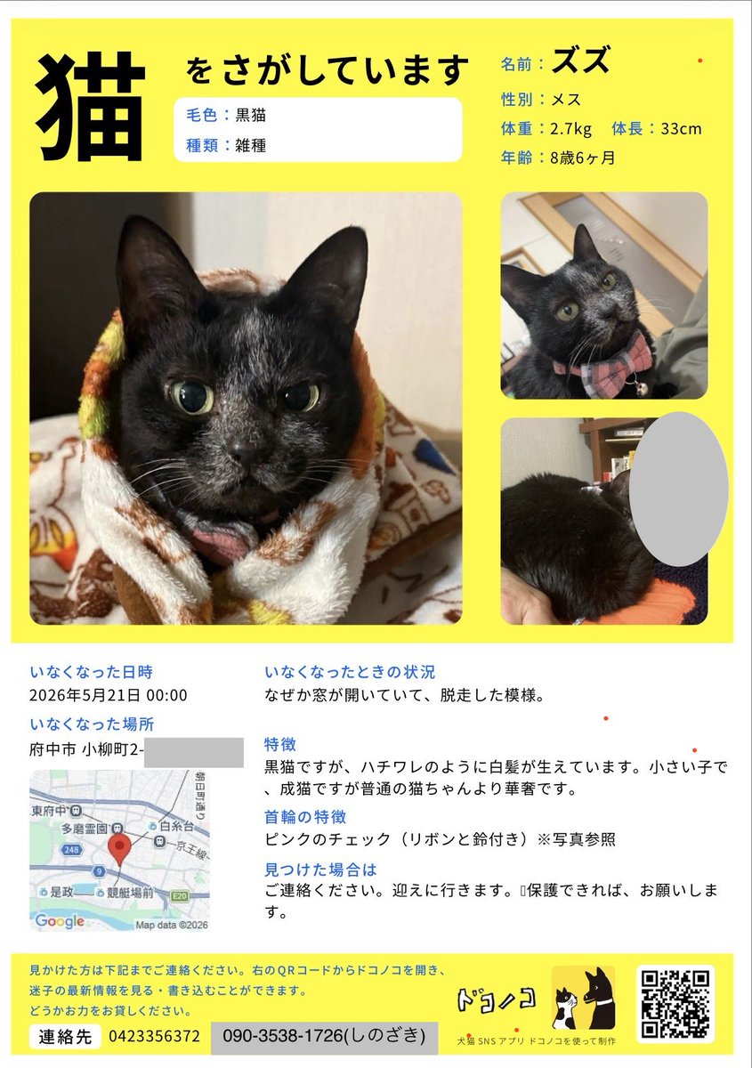 NPO法人猫にゃんネットワーク府中 tweet media