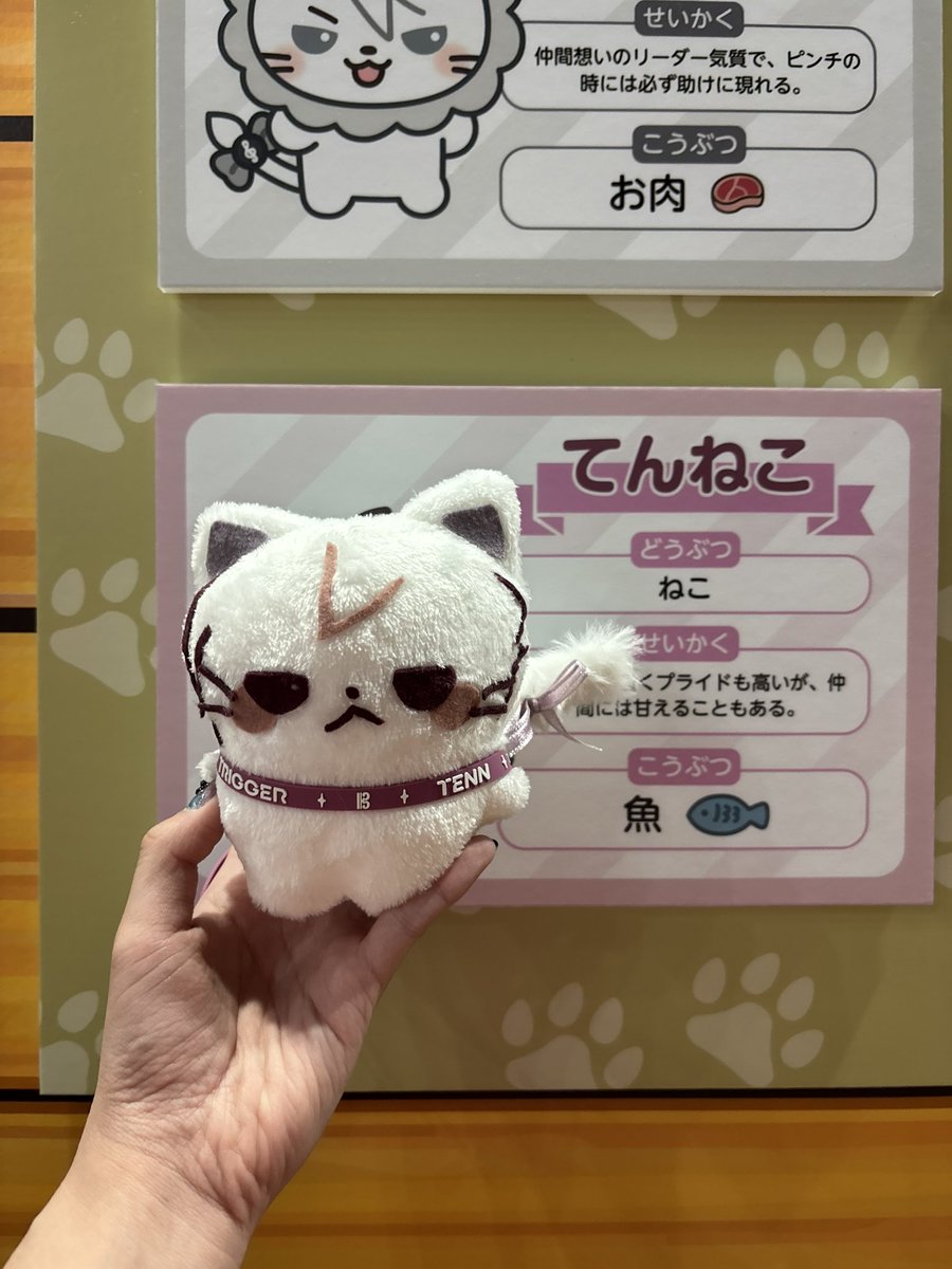 YYexv's tweet photo. 自作てんねこ🩷🐱 https://t.co/2tJ7OxoYox
