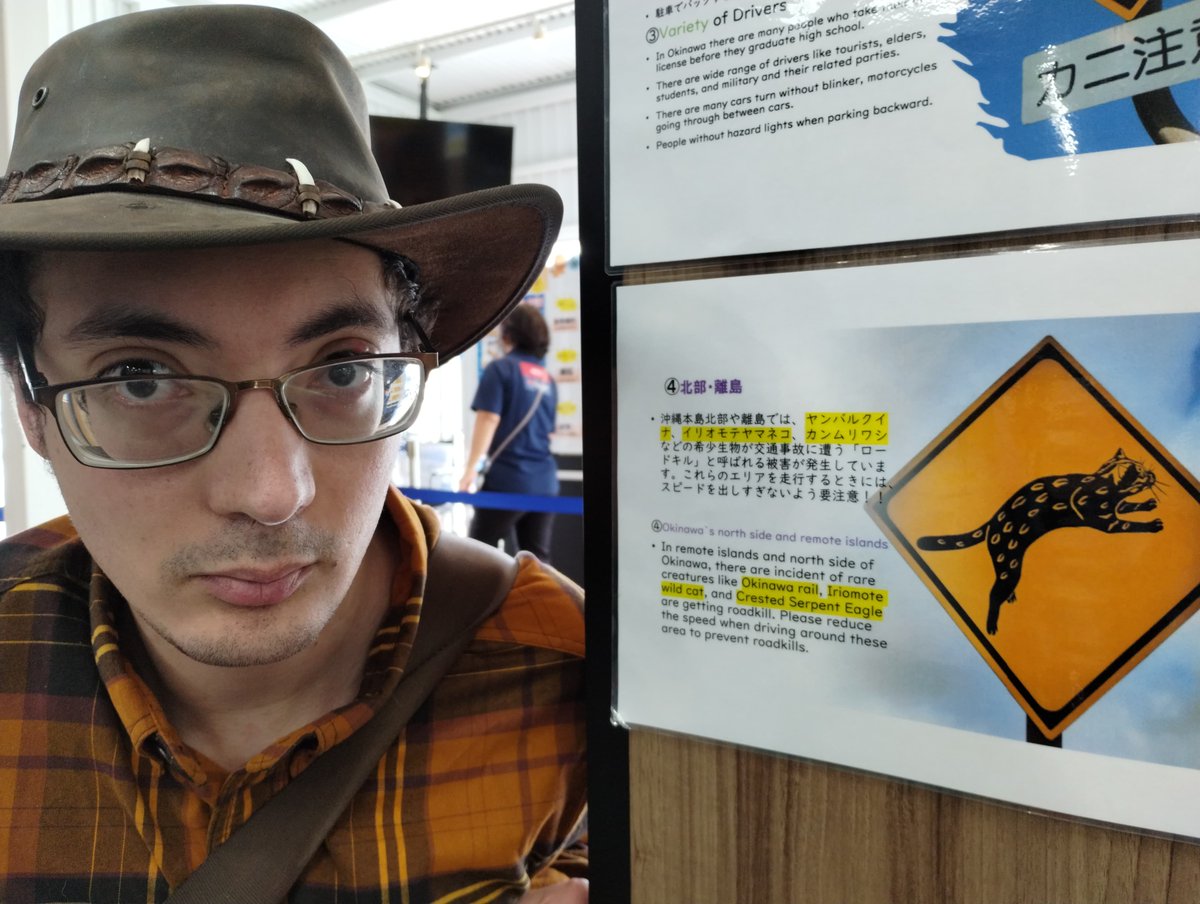 Cryptid_Wiki's tweet photo. Cryptid investigation in #Japan 🇯🇵 Search for the Yamapikarya (ヤマピカリャー) updates coming soon! Large big cat reported from Iriomote Island, Okinawa, Japan. Iriomote Island, the "Amazon of Japan," is 90% covered by untouched jungle. Home to the smaller, rare Iriomote wild cat https://t.co/YUwcuafJ5o