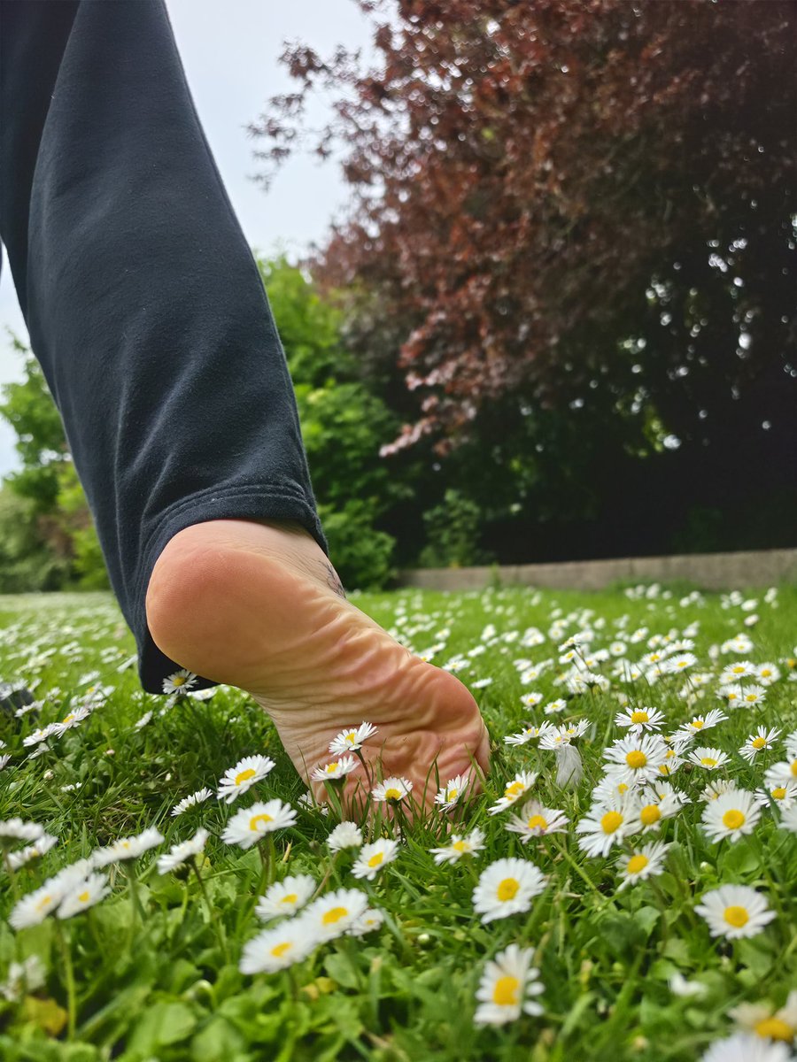 MarriedSoles2's tweet photo. POV: you’re the daisy I stepped on 🌼 https://t.co/lrt3v0IvUs