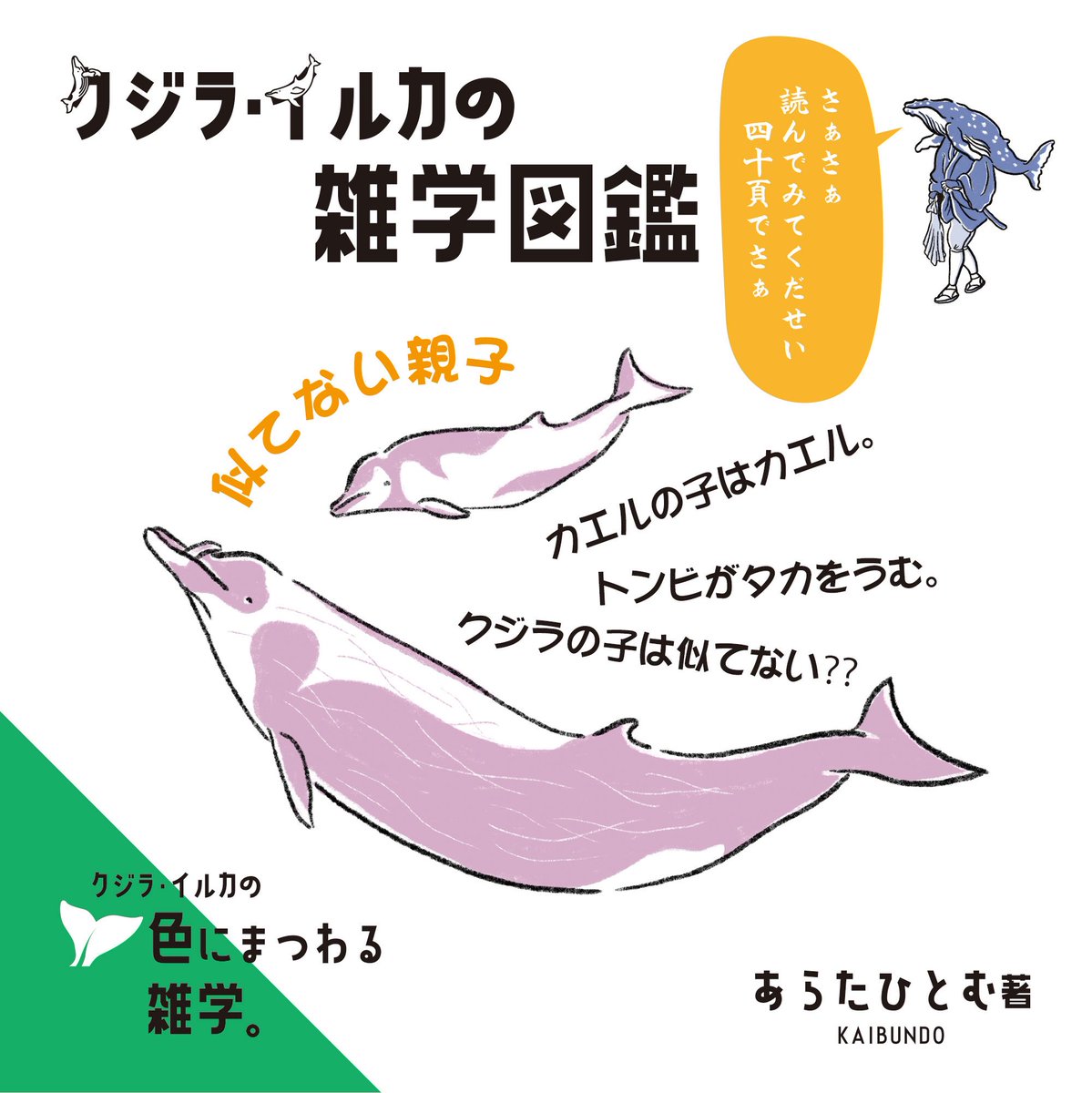 あらたひとむ🐋クジラ・イルカの雑学図鑑📖 tweet media