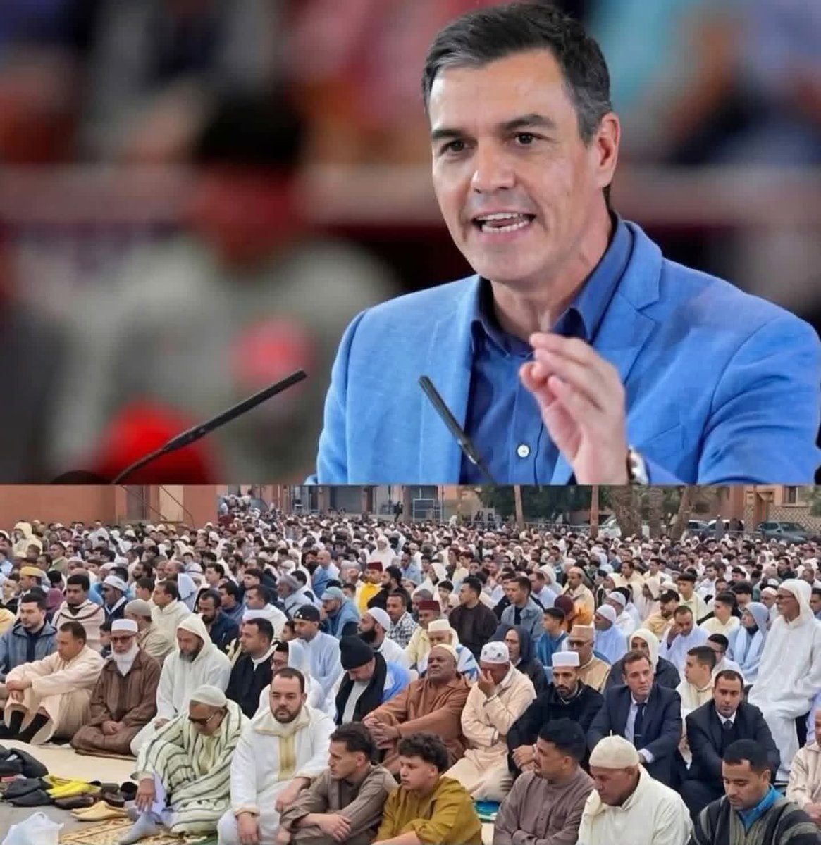 عقيًل بن محمد العقيًل( أبو أنس) tweet media