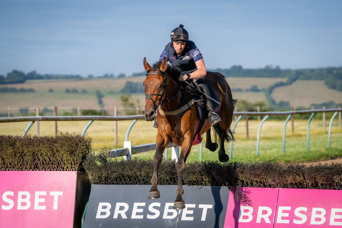 FOBRacing's tweet photo. Today we run Big Boy Barney, Start Again (pictured) and Newmill Getaway @BangorRaces https://t.co/j8Isz1vvvd