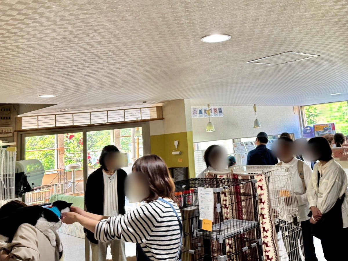 北海道十勝の動物保護団体|ティアハイム十勝 tweet media