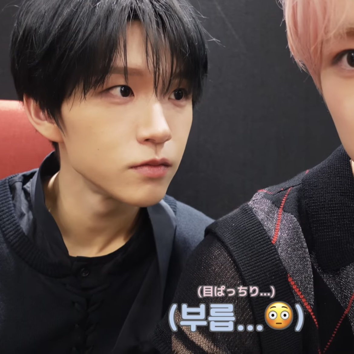 히뽀 tweet media