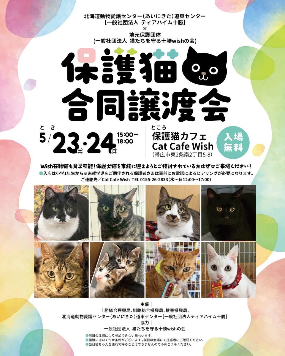 北海道十勝の動物保護団体|ティアハイム十勝 tweet media