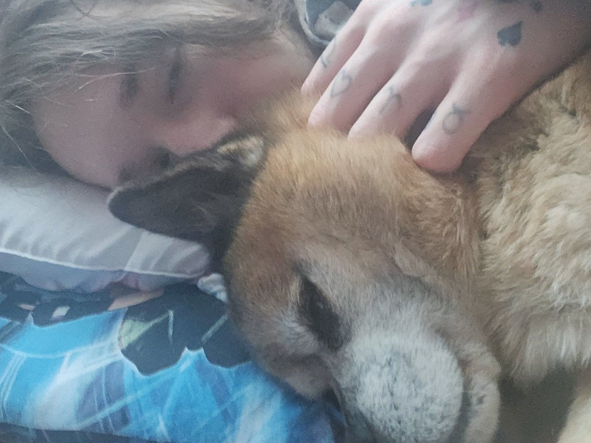 lovelylyth's tweet photo. Ladies and Gentlemen, darf ich vorstellen? Snoopy!! (Leider nicht mein Hund aber trotzdem so ein süßi ich liebe ihn) https://t.co/QLw6TWqHfV