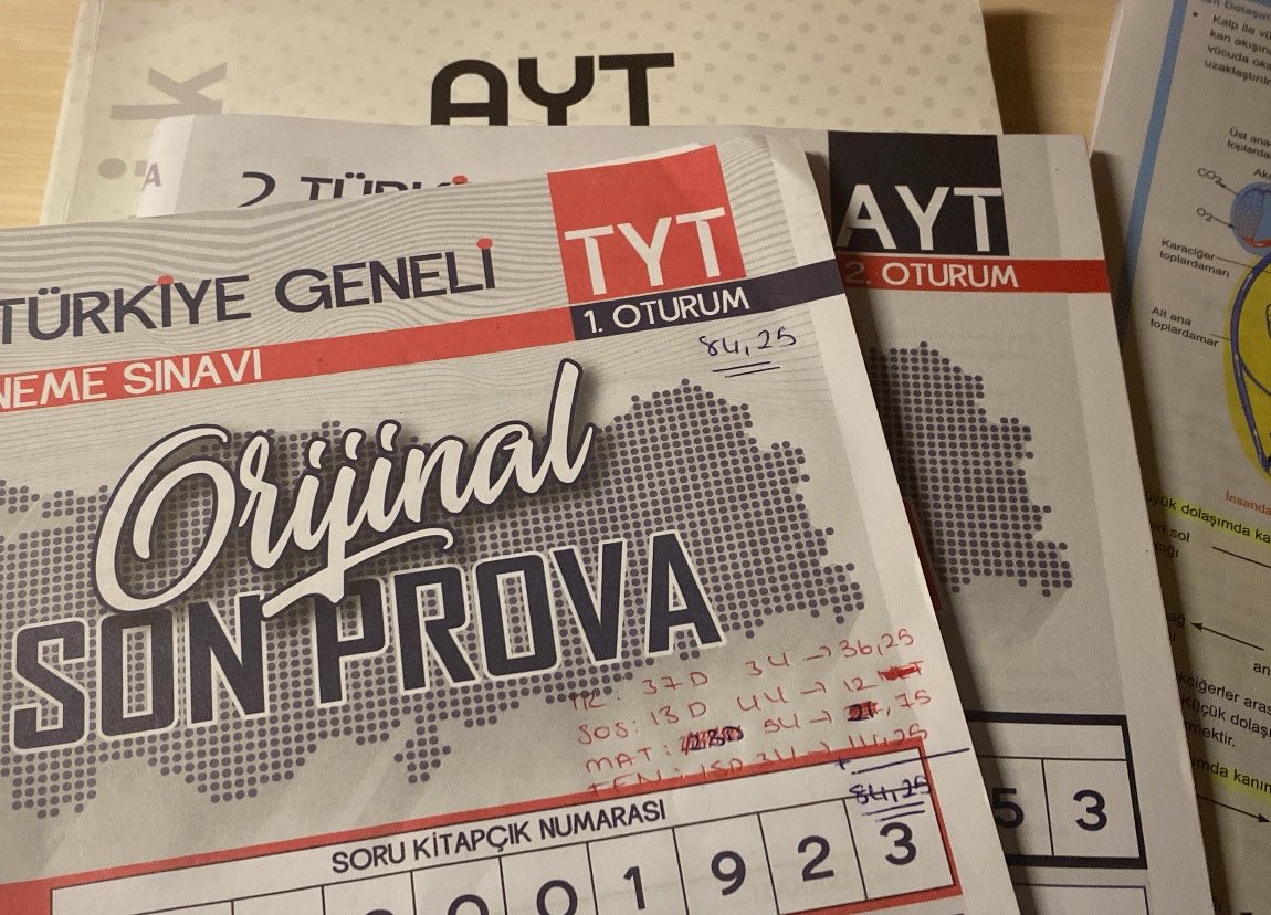 cemre tweet media