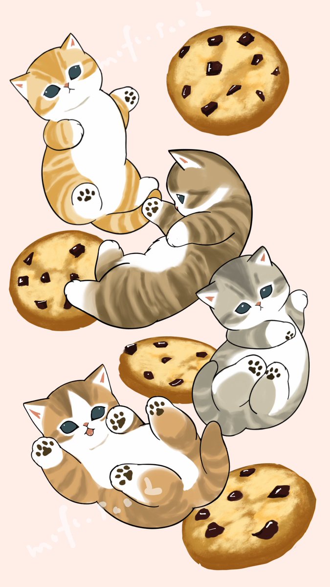 ぢゅの🐈 tweet media