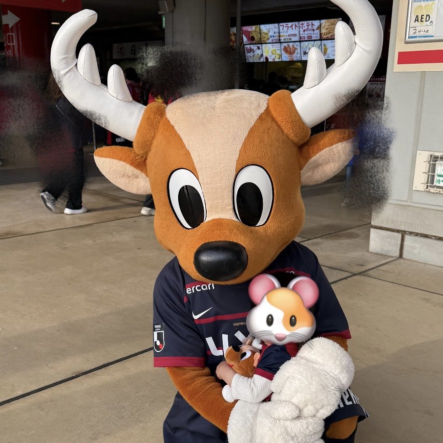 erina_mano's tweet photo. 今日はいつもより遅めの時間だったから前半だけスタジアム観戦🏟️⚽️
👶🏻はついにしかおとハグできました🙌🏻✨
しかおが「くるか？😊」ってしゃがんでくれたから抱っこから降ろしてみたら、自分で歩いてぎゅっと🤭
バイバイしたあとも嬉しそうに持ってるアントンに「ぎゅー！」ってしてました🦌🤗 https://t.co/F9HAo5WoQi