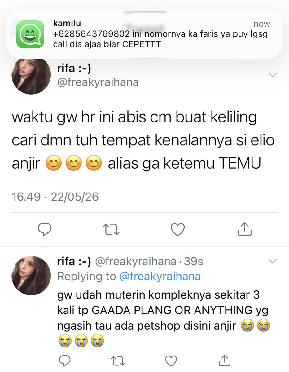 🎠 tweet media