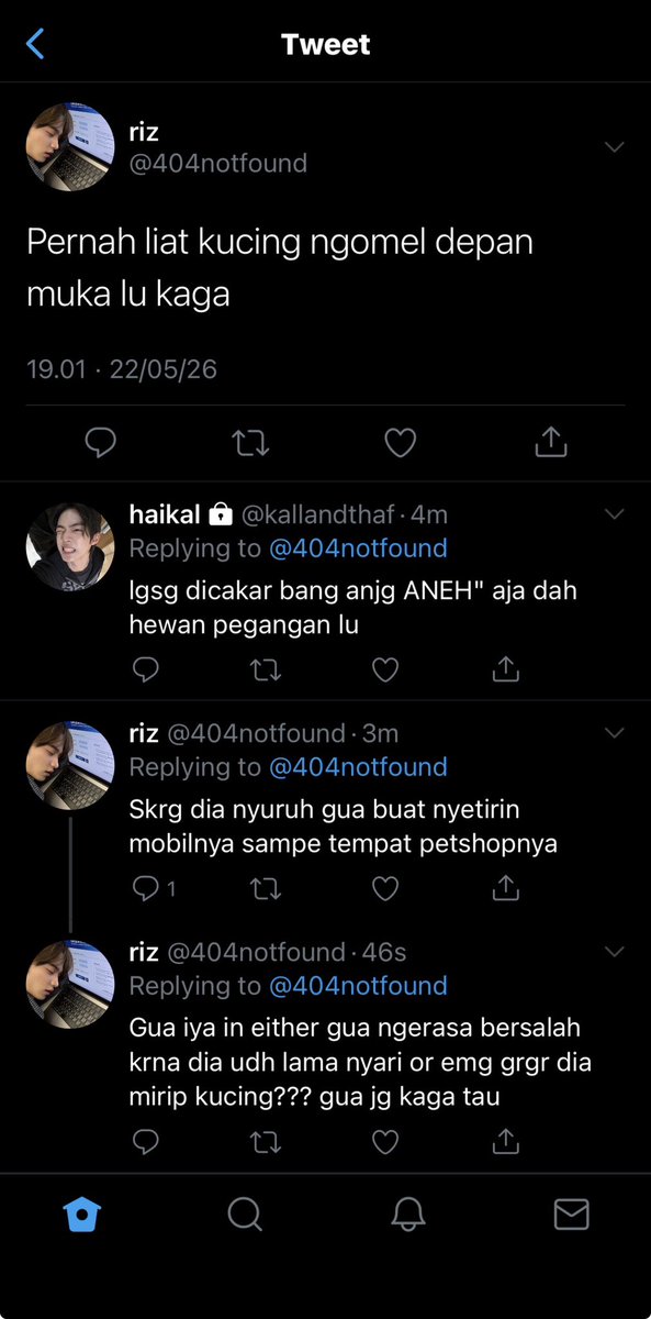 🎠 tweet media