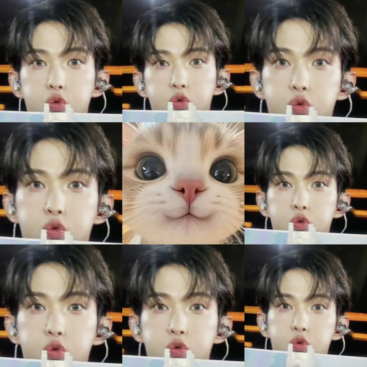 kyeomTia18's tweet photo. My cat https://t.co/HD4j7tp79s