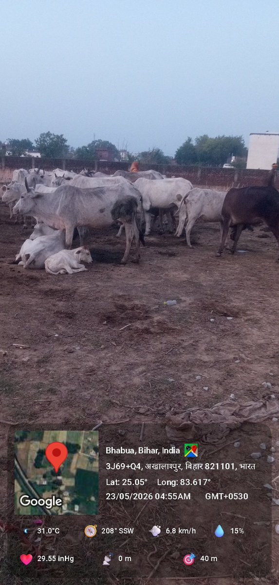 Gau Gyan Foundation tweet media