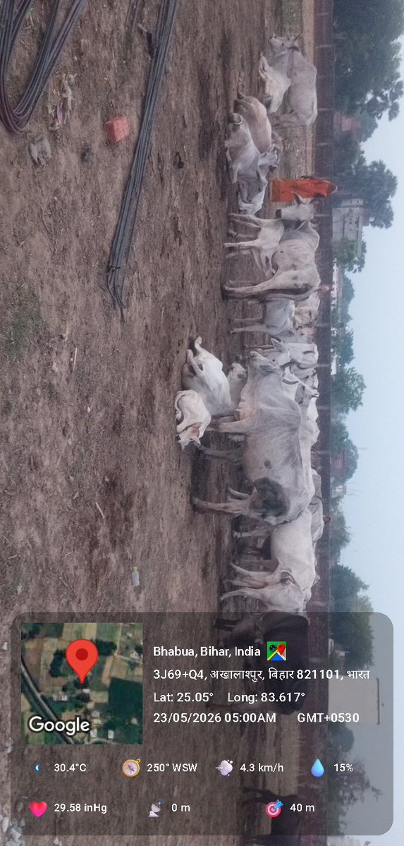 Gau Gyan Foundation tweet media