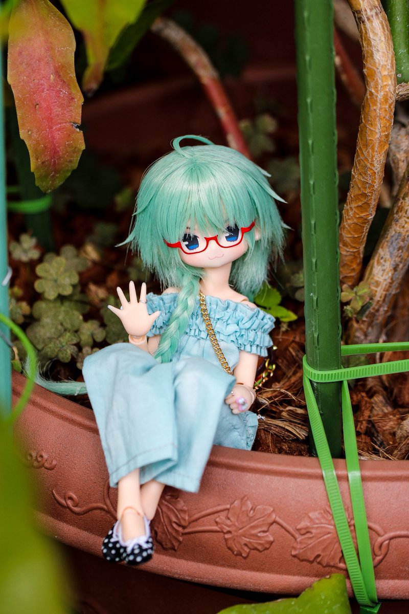 co_ovw's tweet photo. (▭-▭)✧ #ピュアニーモ https://t.co/AClbJo7yxE
