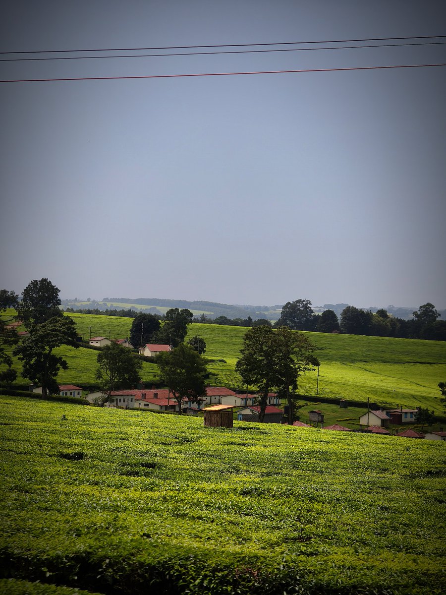 Travel & Explore, Kemboi tweet media