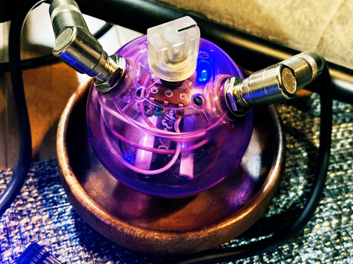 またしても👀‼️ かまぼこ板から楽器🎸やら 葵の印籠エフェクターやら
