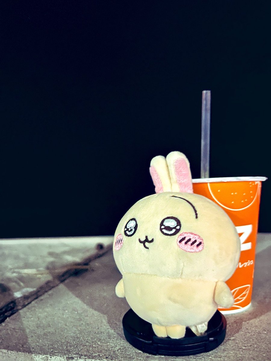 夜の海だよ〜うさぎ！まっくらですな 🌃🐇ﾌｩﾝ